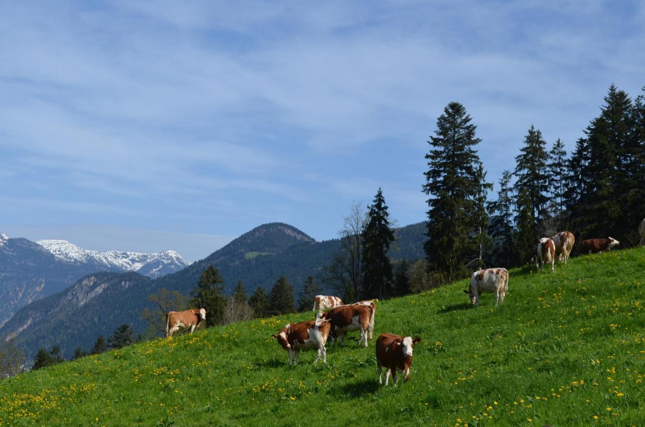 Apart Timeout Hart im Zillertal Kültér fotó