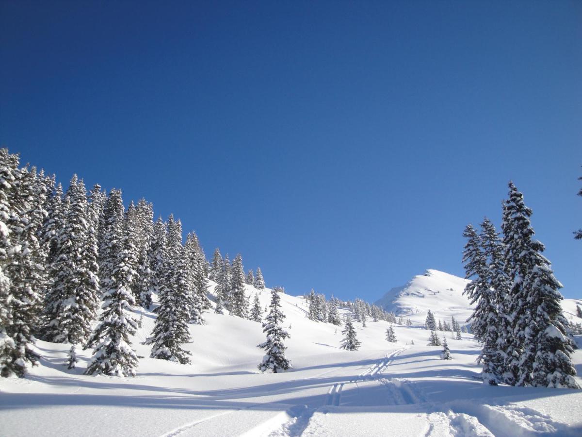 Apart Timeout Hart im Zillertal Kültér fotó